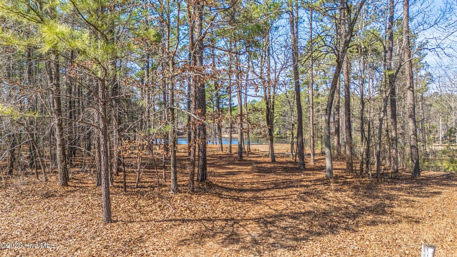 305 Lakewood Drive, Aberdeen, NC 28315