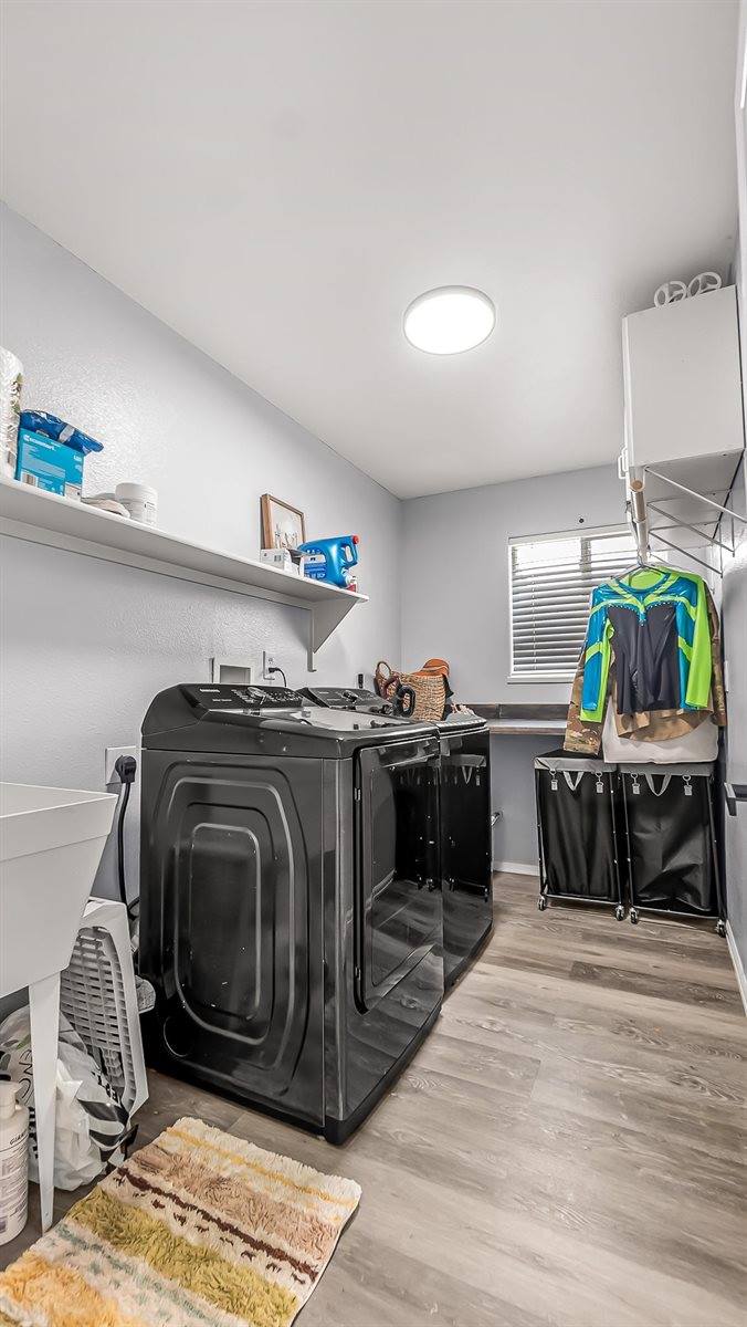 203 Elderberry Drive, Fruita, CO 81521