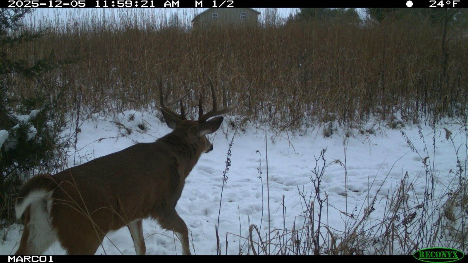 1855 Spring Valley Road, London, OH 43140