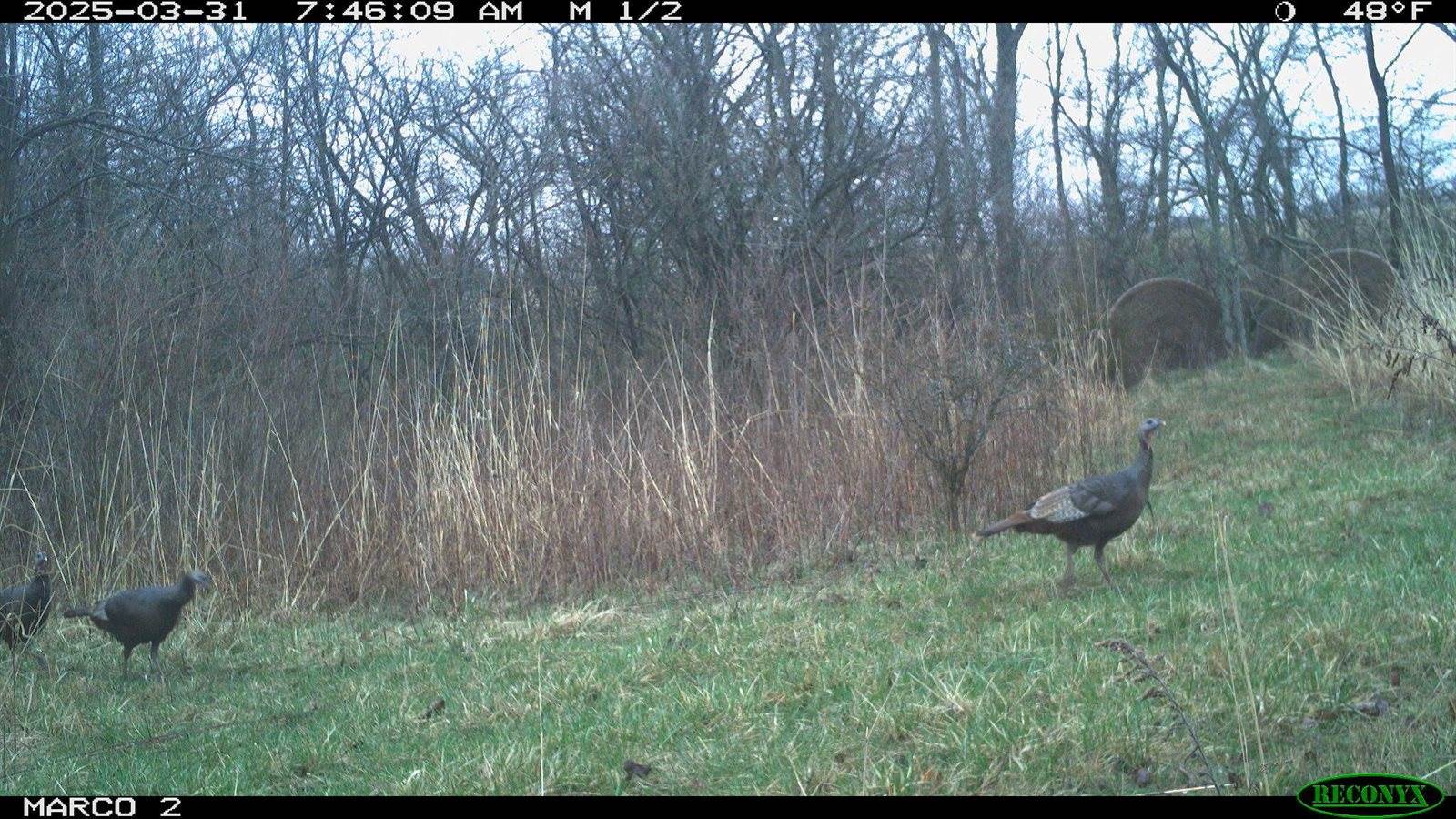 1855 Spring Valley Road, London, OH 43140