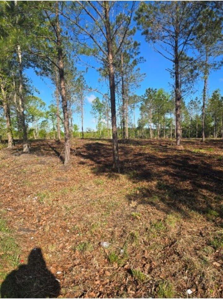 1513 Oakdale Rd., Loris, SC 29569