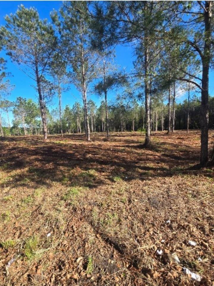 1513 Oakdale Rd., Loris, SC 29569