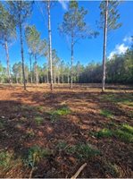 1513 Oakdale Rd., Loris, SC 29569