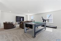 248 Tybee Drive, Madison, AL 35756