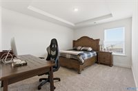 248 Tybee Drive, Madison, AL 35756