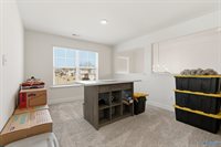 248 Tybee Drive, Madison, AL 35756