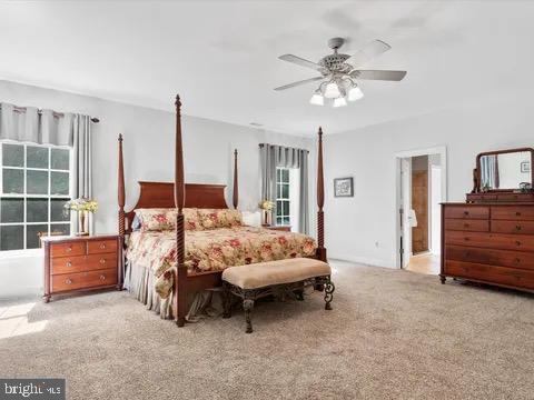 20145 Doddtown Road, Harbeson, DE 19951