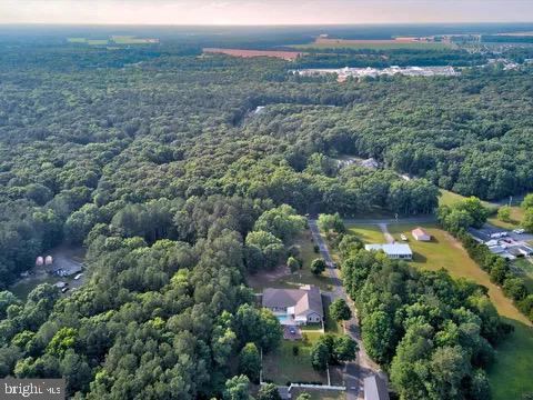 20145 Doddtown Road, Harbeson, DE 19951