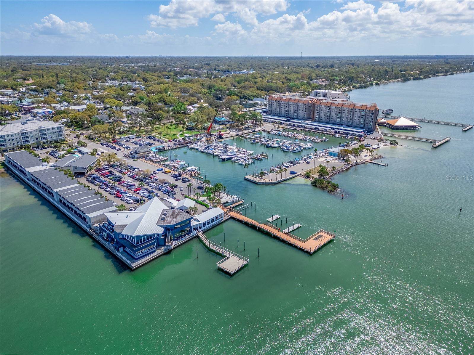 1220 Orange Avenue, Dunedin, FL 34698