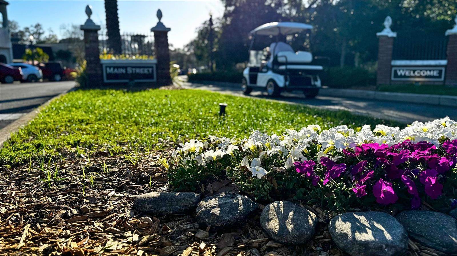 1220 Orange Avenue, Dunedin, FL 34698