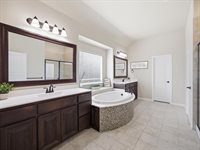 738 Larkspur Lane, Midlothian, TX 76065