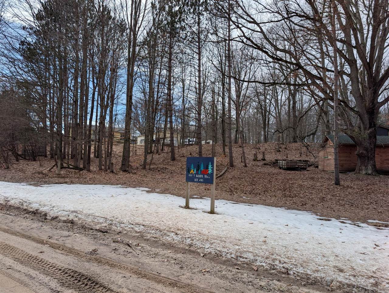 6557 South Woods Trail Road, Custer, MI 49405