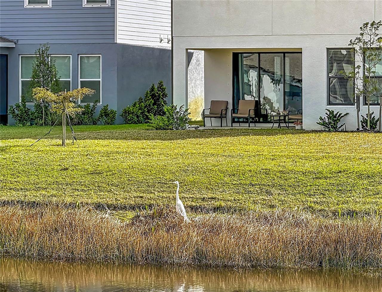 5635 Blue Reef Place, Nokomis, FL 34275