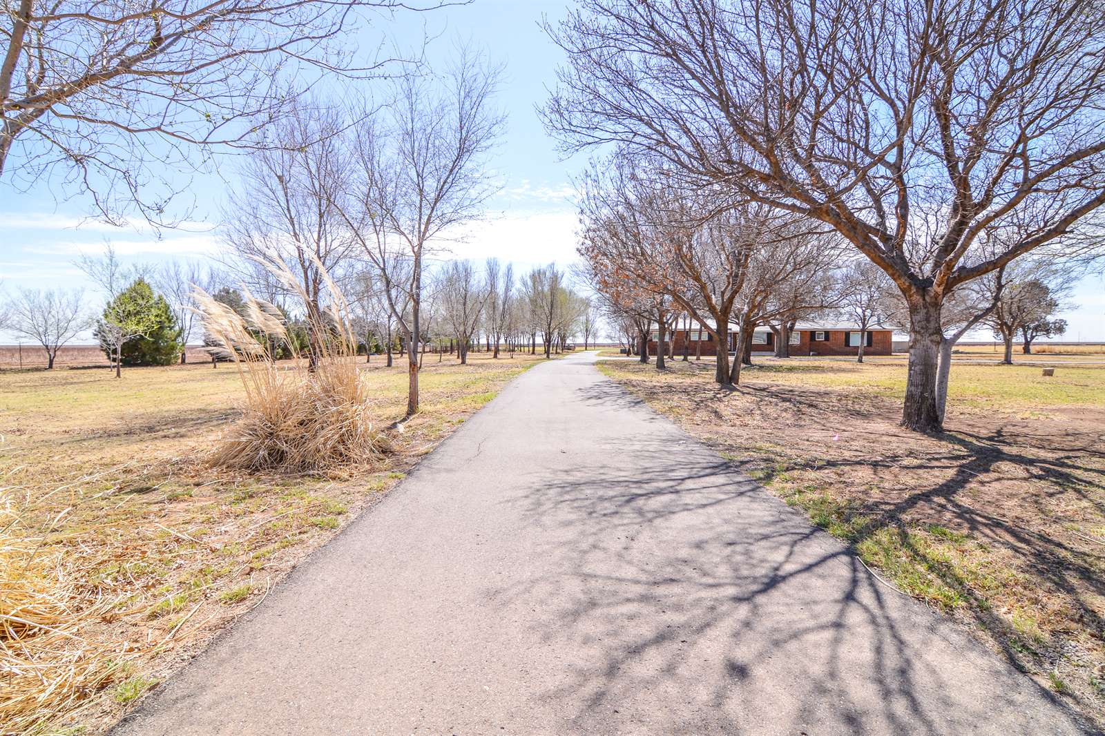 2511 FM 211, Wilson, TX 79381