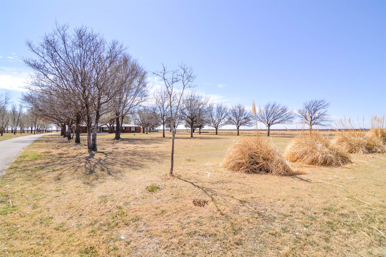 2511 FM 211, Wilson, TX 79381