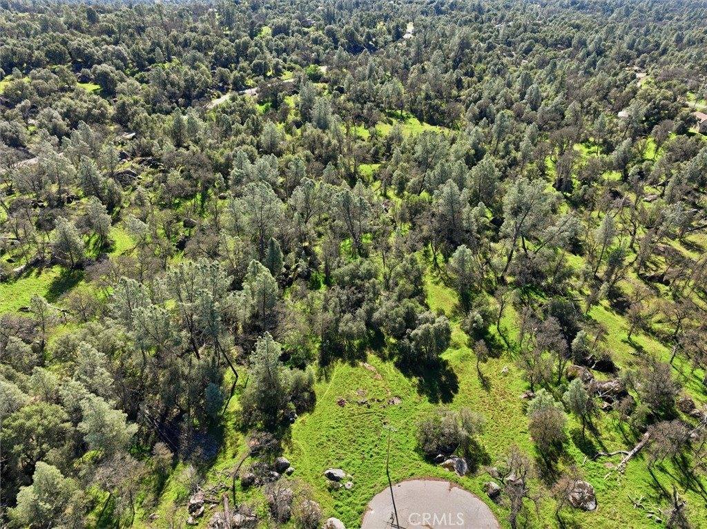 4251 Burl, Mariposa, CA 95338