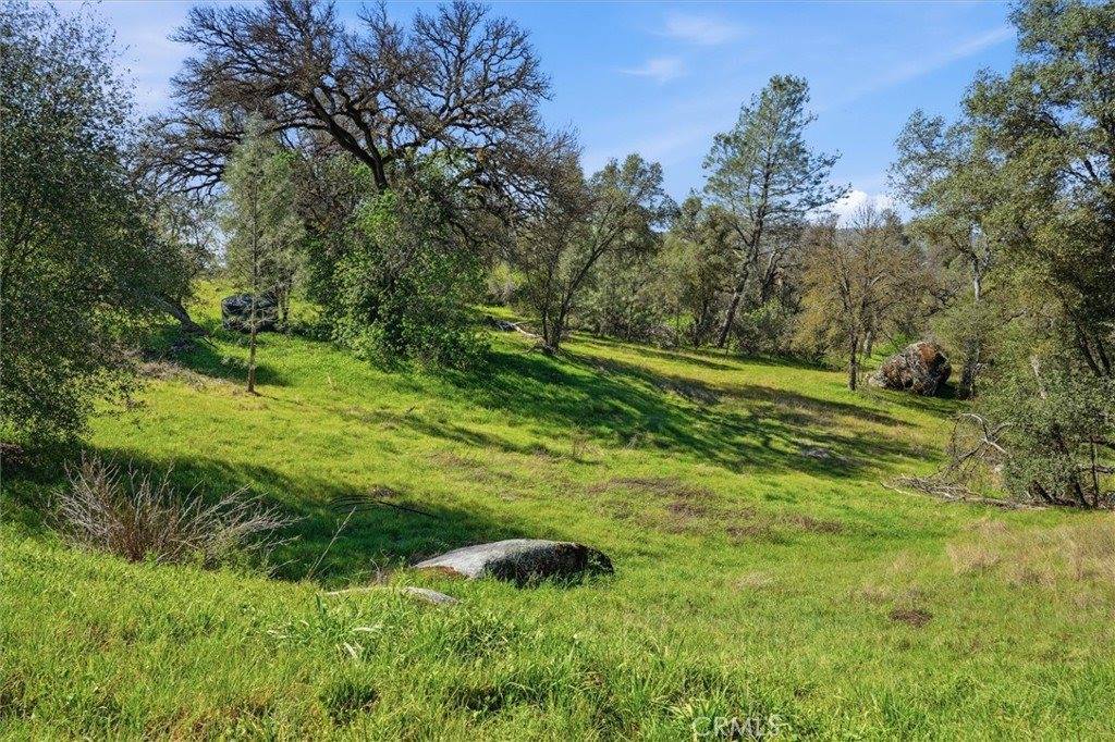 4251 Burl, Mariposa, CA 95338