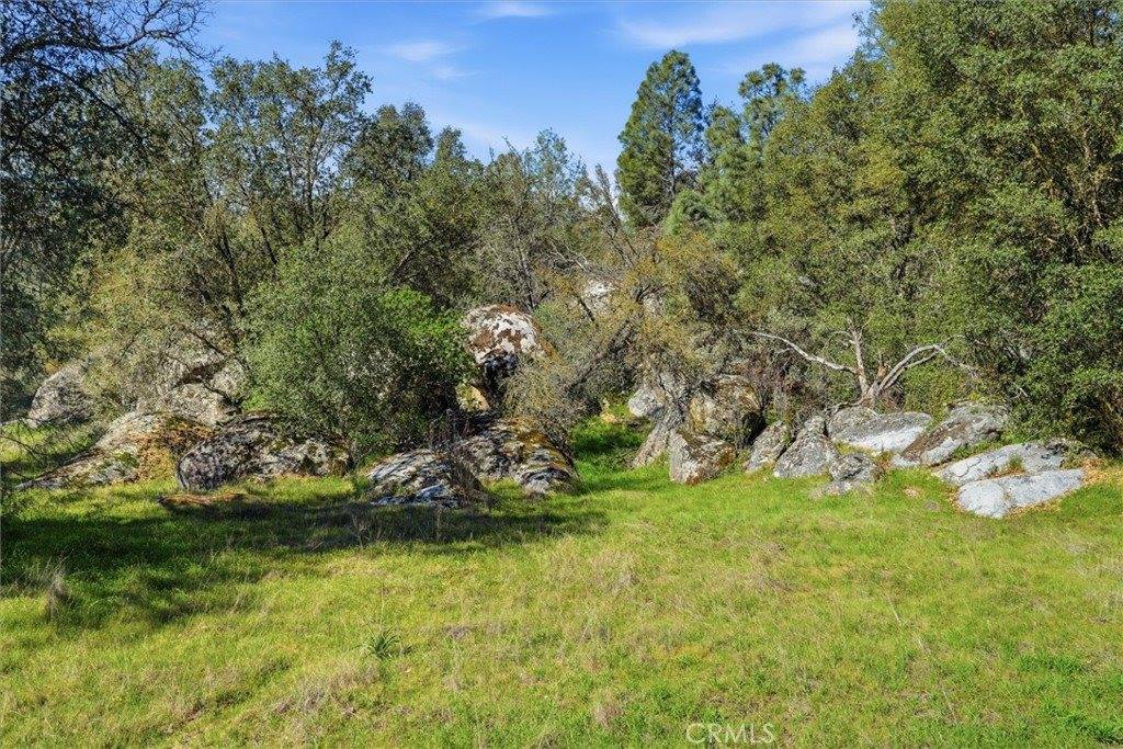 4251 Burl, Mariposa, CA 95338