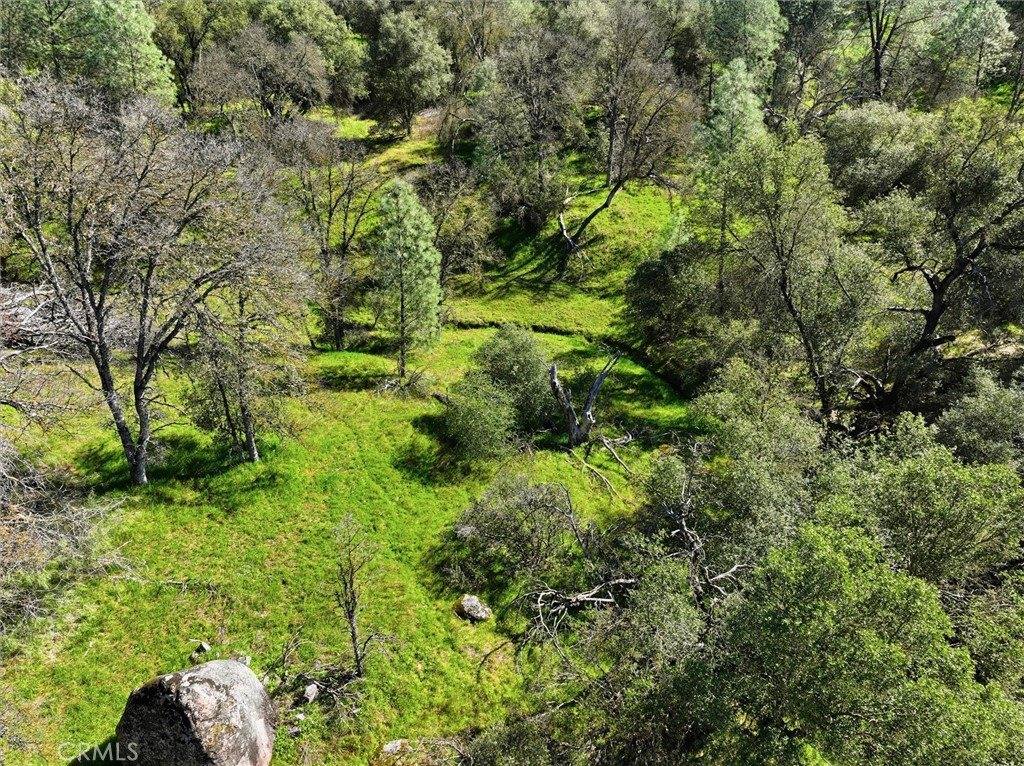 4251 Burl, Mariposa, CA 95338