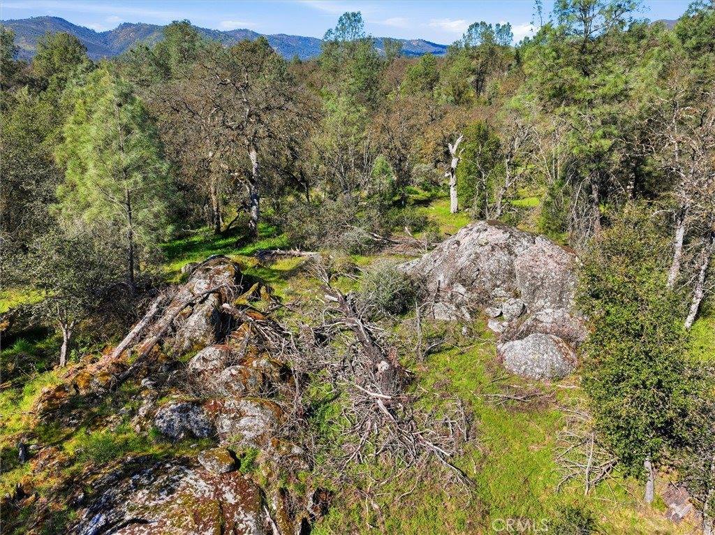 4251 Burl, Mariposa, CA 95338