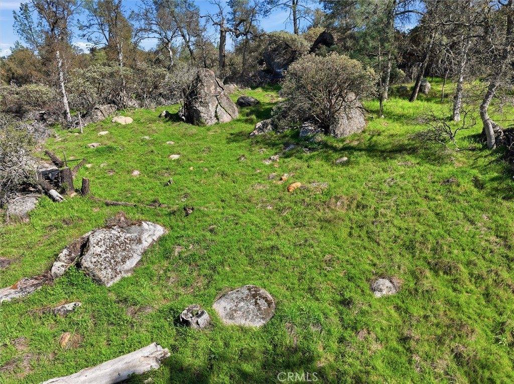 4251 Burl, Mariposa, CA 95338