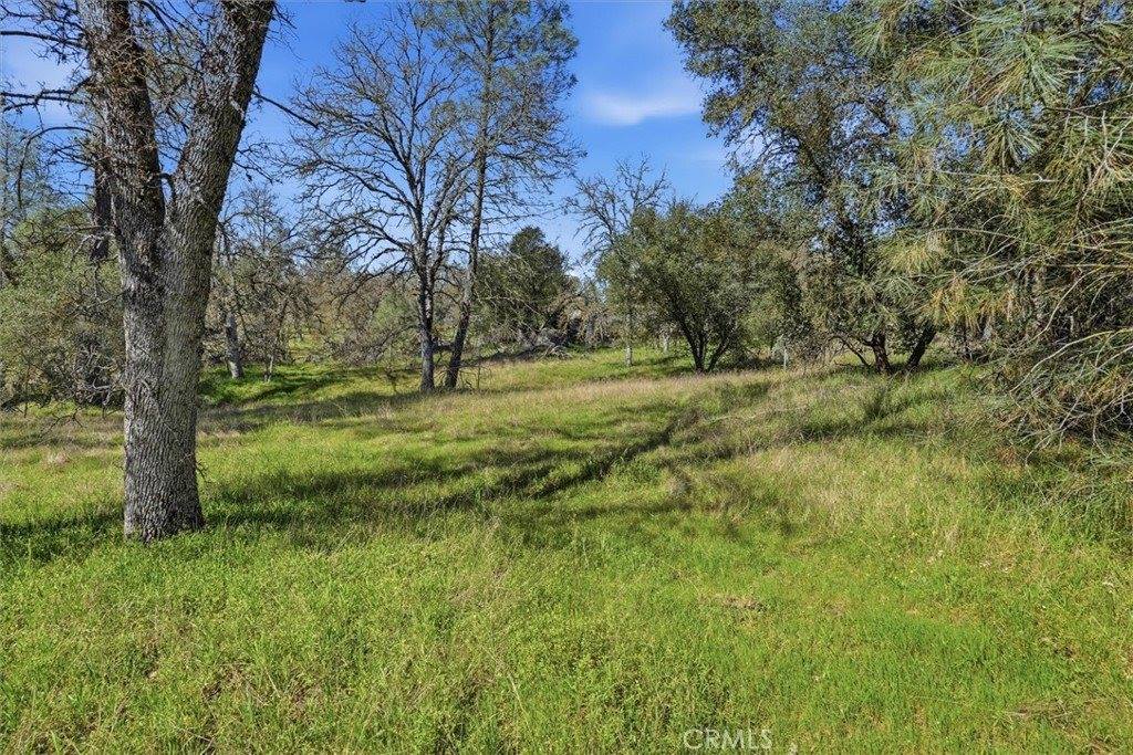 4251 Burl, Mariposa, CA 95338