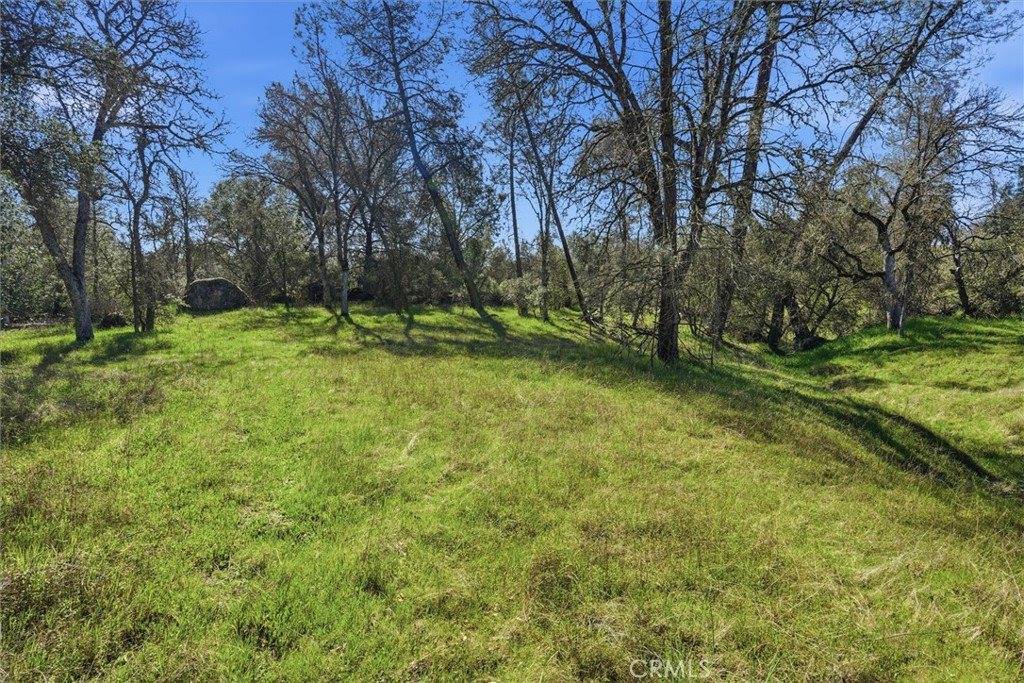4251 Burl, Mariposa, CA 95338