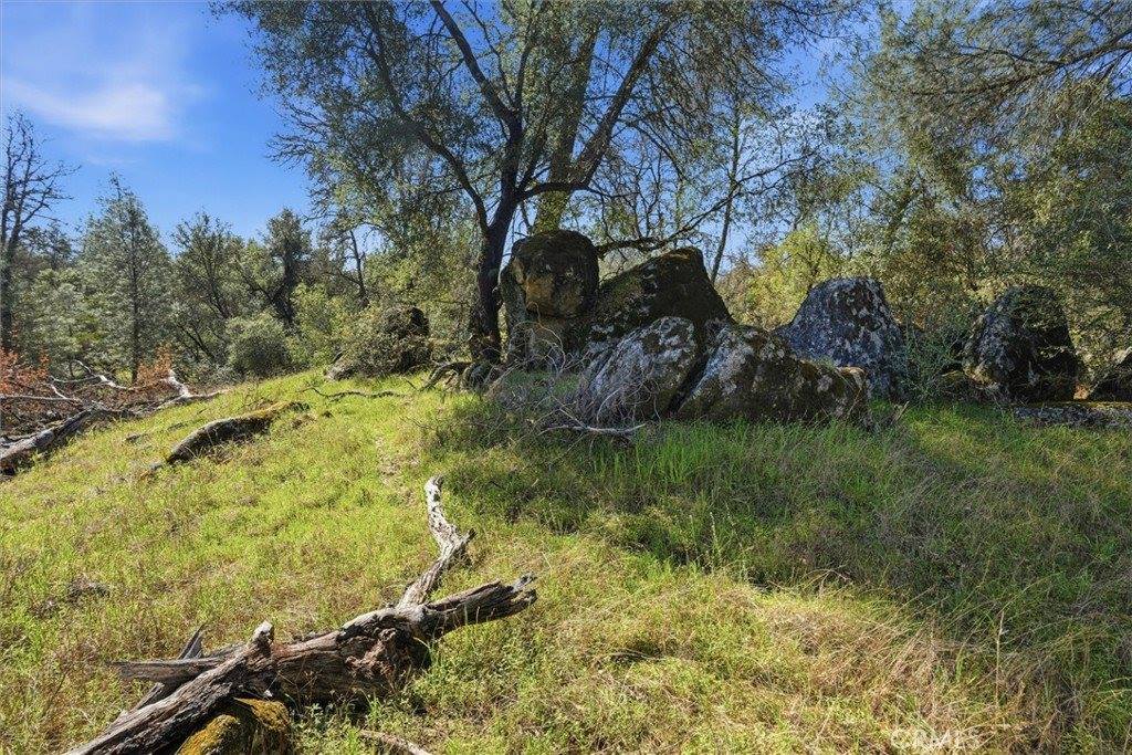 4251 Burl, Mariposa, CA 95338