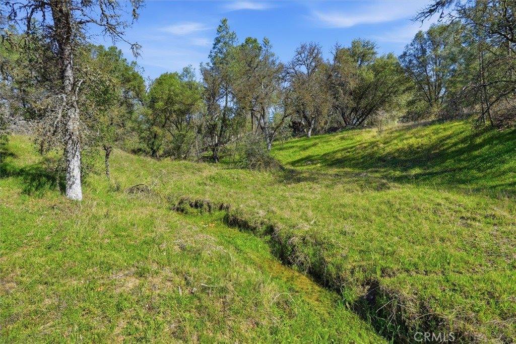 4251 Burl, Mariposa, CA 95338