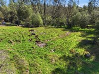 4251 Burl, Mariposa, CA 95338