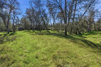 4251 Burl, Mariposa, CA 95338