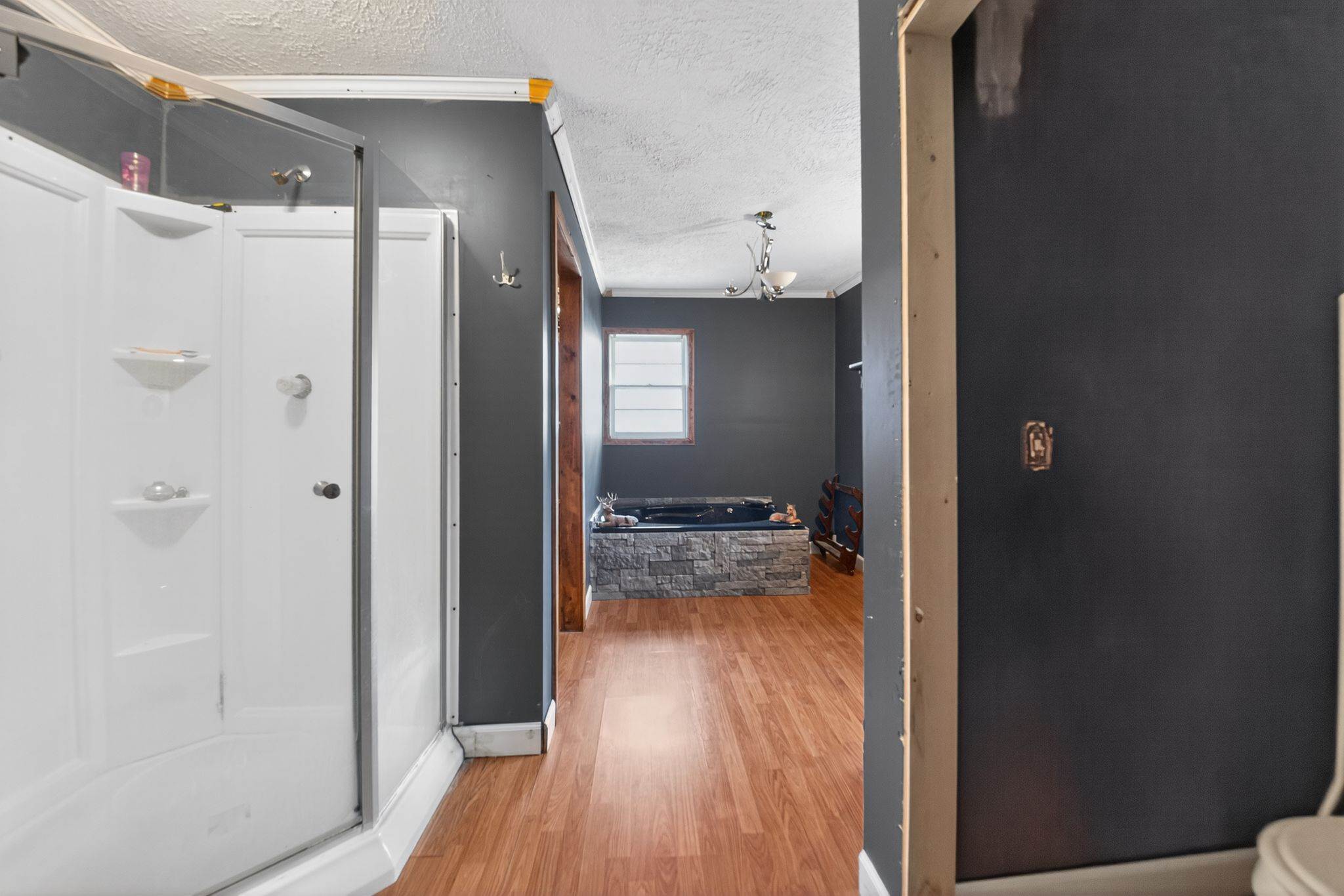 202 Pine Hill Dr, Waverly, TN 37185