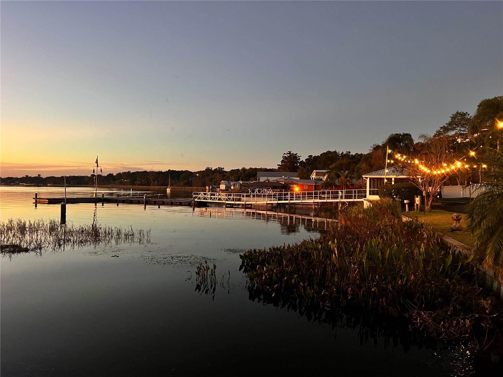 810 North Tremain Street, Mount Dora, FL 32757