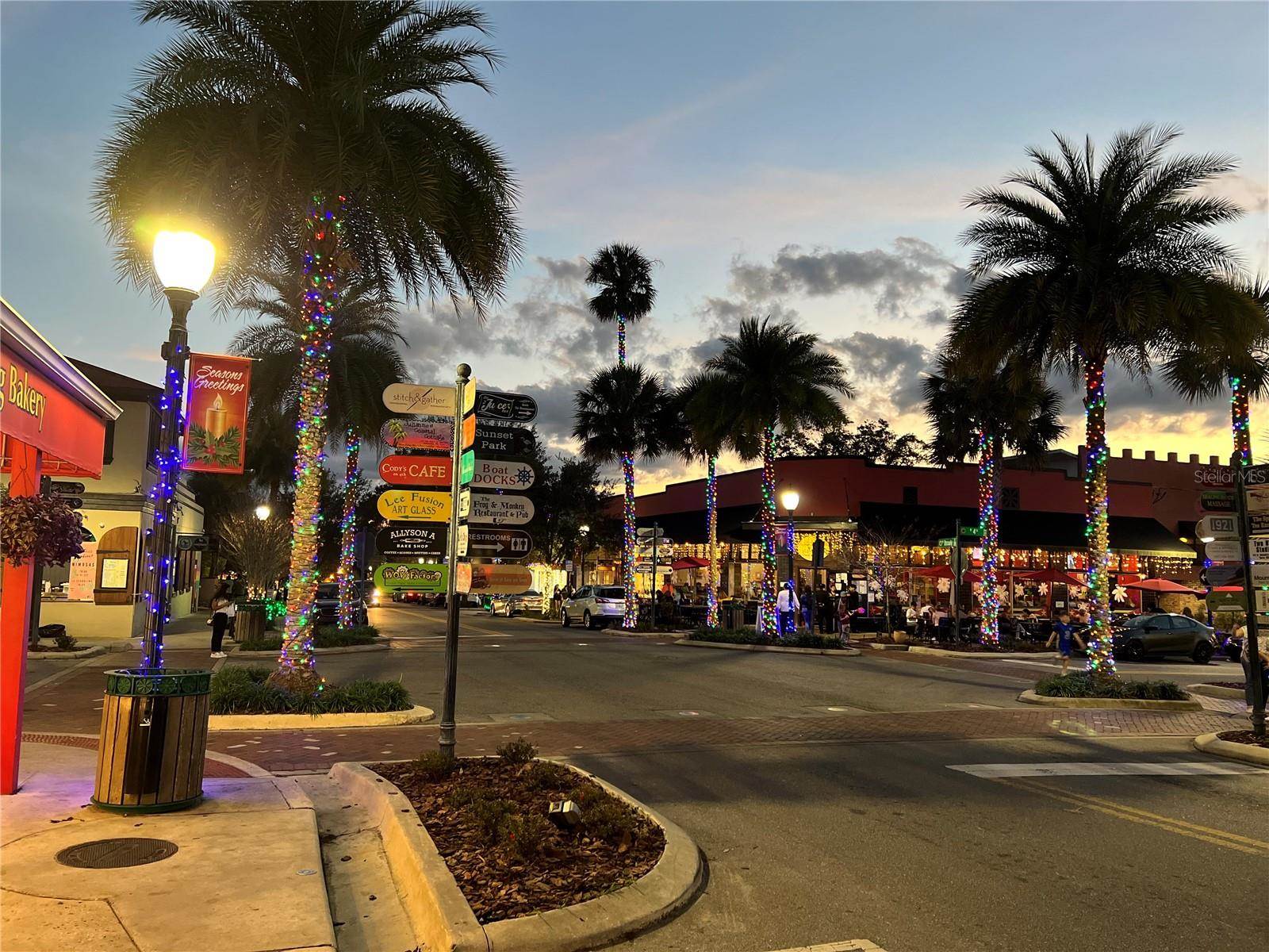 810 North Tremain Street, Mount Dora, FL 32757