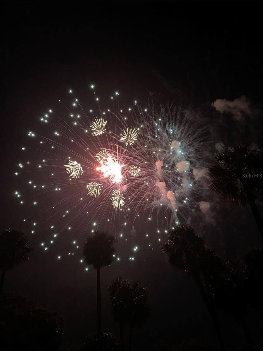 810 North Tremain Street, Mount Dora, FL 32757