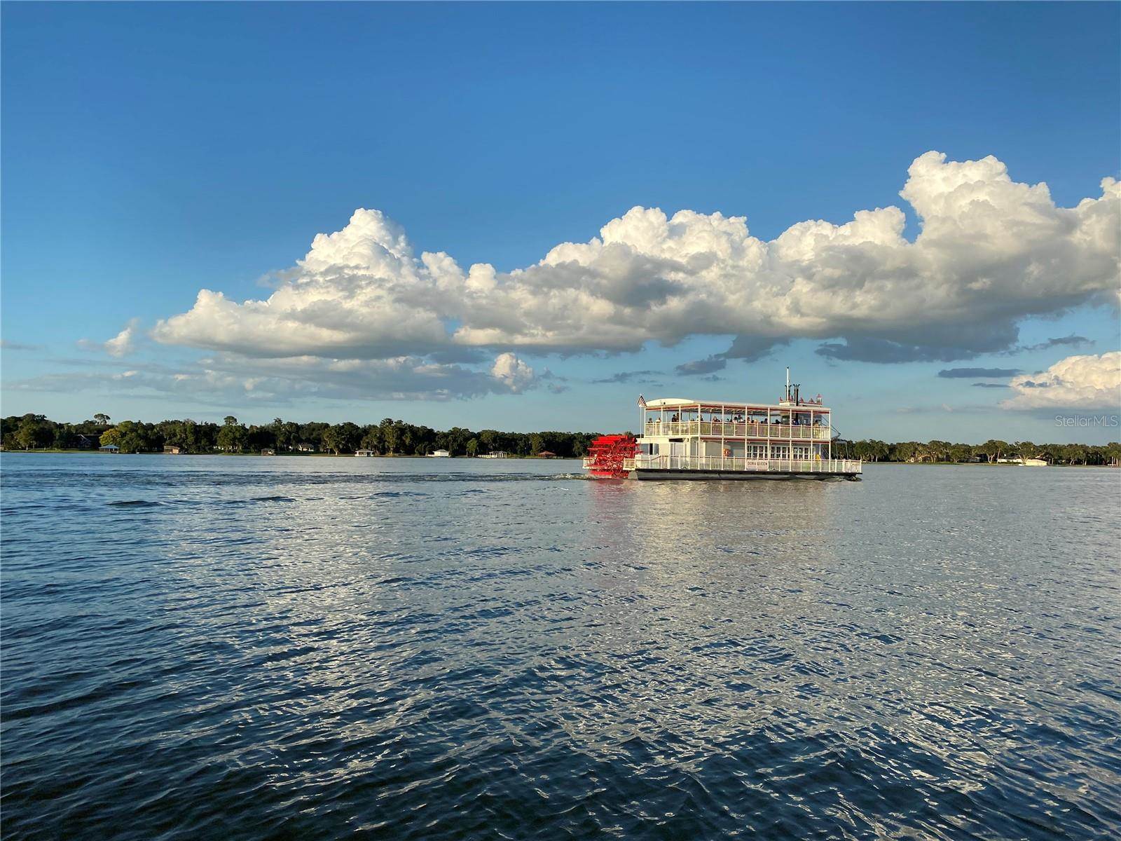 810 North Tremain Street, Mount Dora, FL 32757