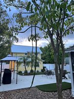 810 North Tremain Street, Mount Dora, FL 32757