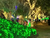 810 North Tremain Street, Mount Dora, FL 32757