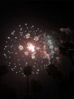 810 North Tremain Street, Mount Dora, FL 32757