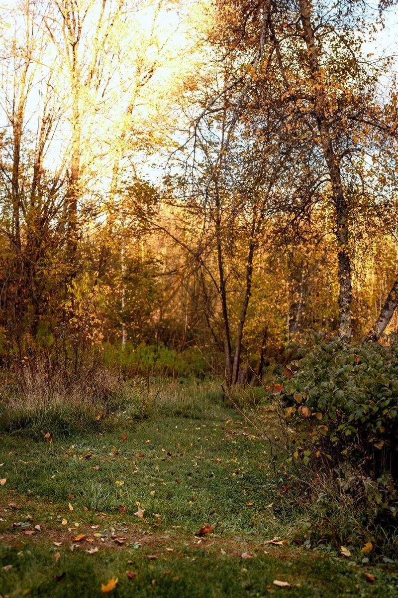 48 Main Road, Charleston, ME 04422