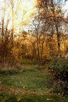 48 Main Road, Charleston, ME 04422