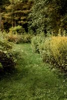 48 Main Road, Charleston, ME 04422