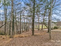 660 & 9999 Glenn Bridge Road, Arden, NC 28704