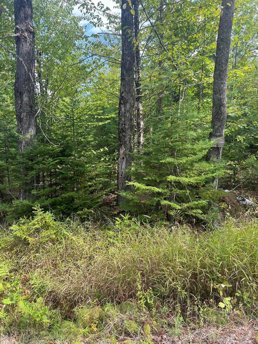 M4L46-1 Church Street, Brownville, ME 04414