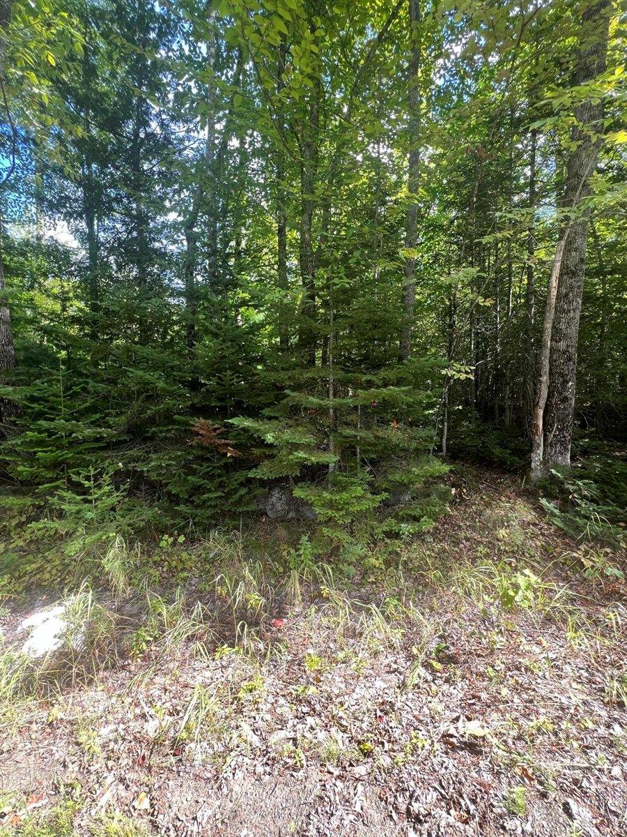 M4L46-1 Church Street, Brownville, ME 04414