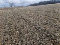 Lot 1 South Brookville Rd, Franklin, WI 54665