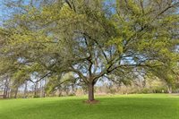 61064 Highway 1046 Highway, Amite, LA 70422