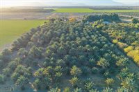 49300 Polk Street, Coachella, CA 92236