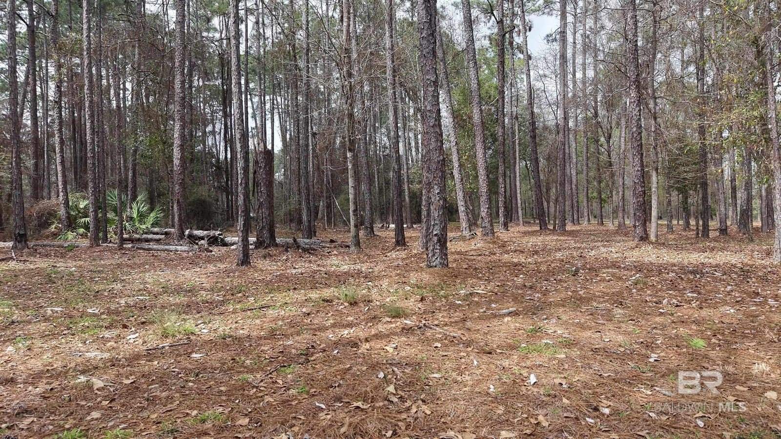 0 Wolf Bay Drive, Foley, AL 36535