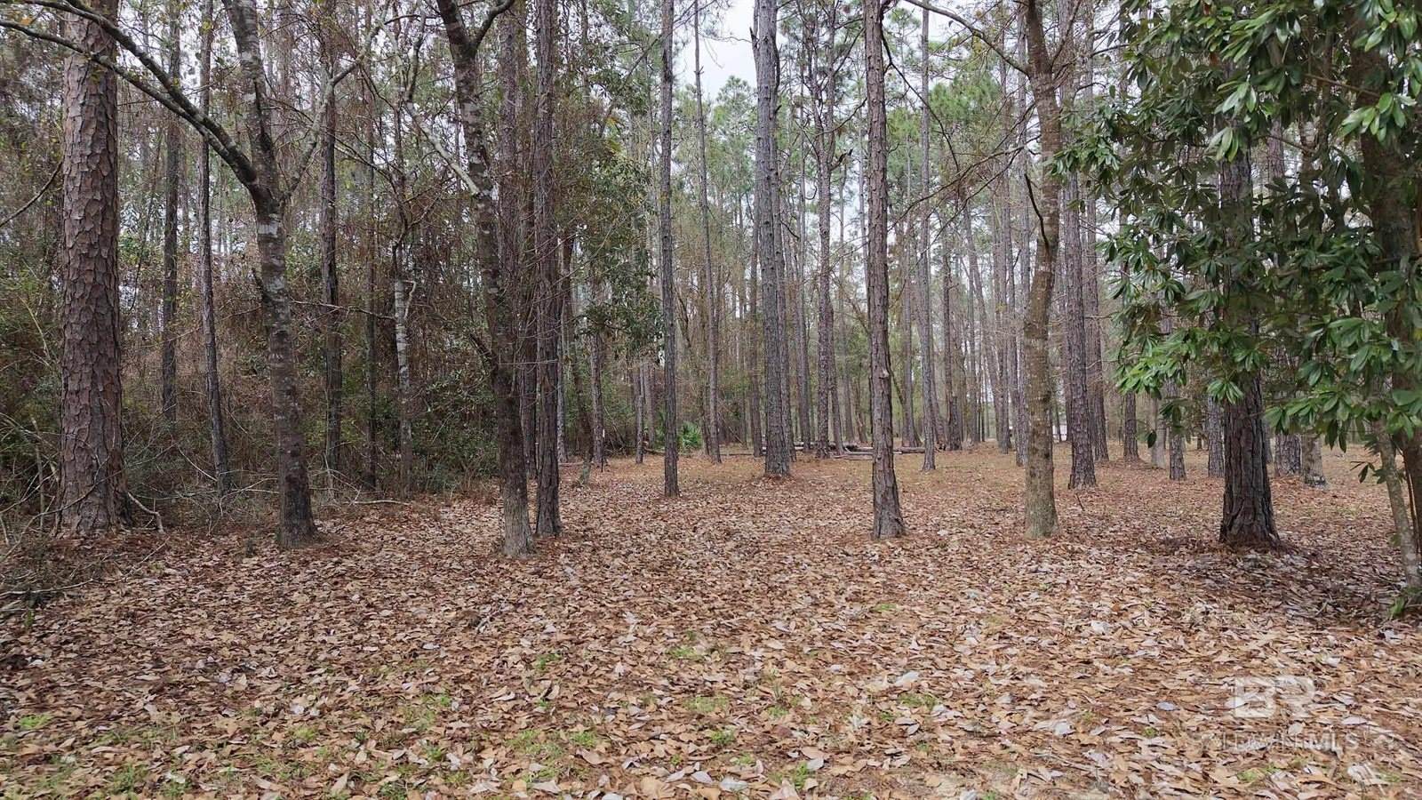 0 Wolf Bay Drive, Foley, AL 36535